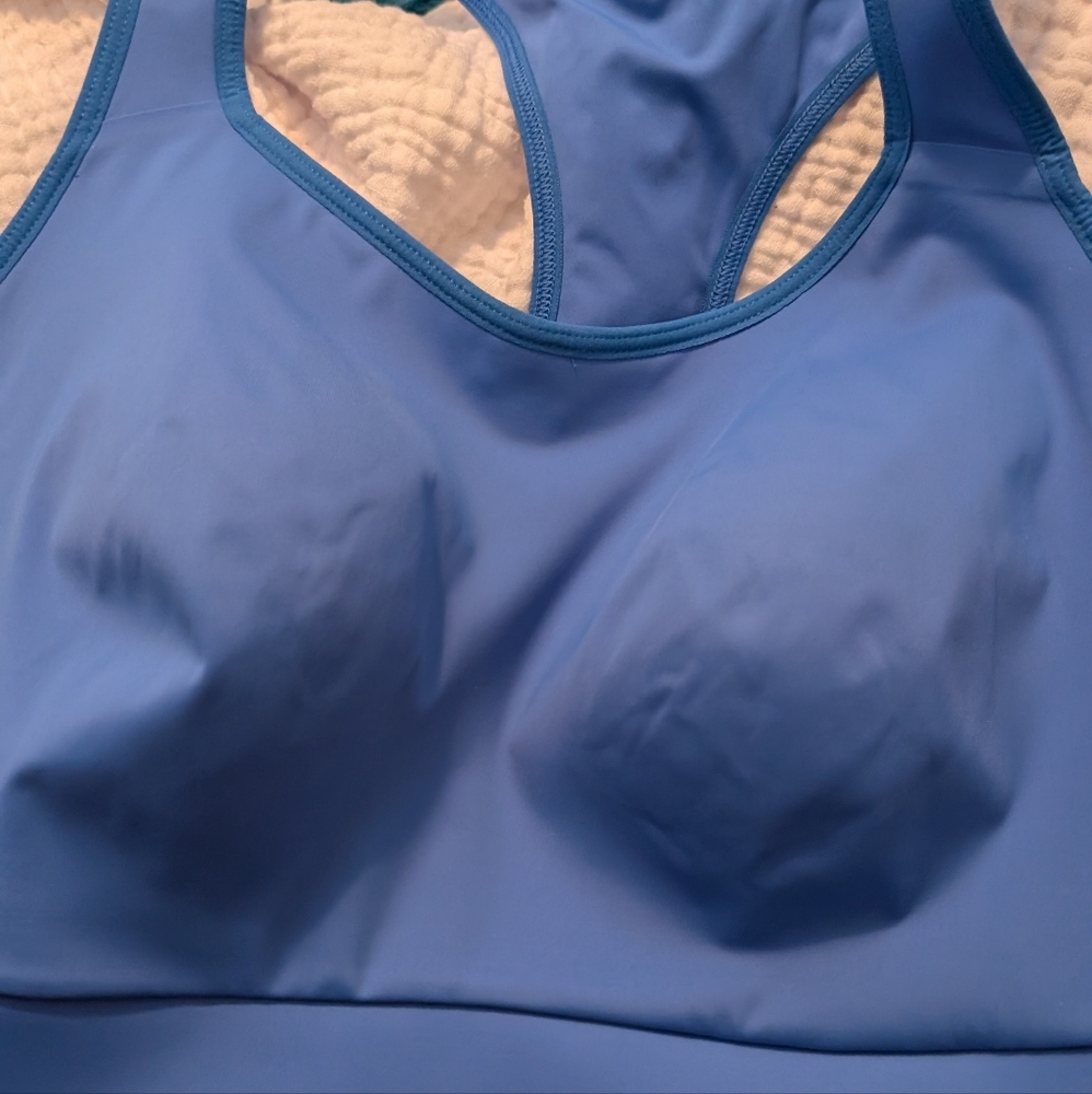Athleta Hustle II Sports Bra 38D-DD, Blue, NWT